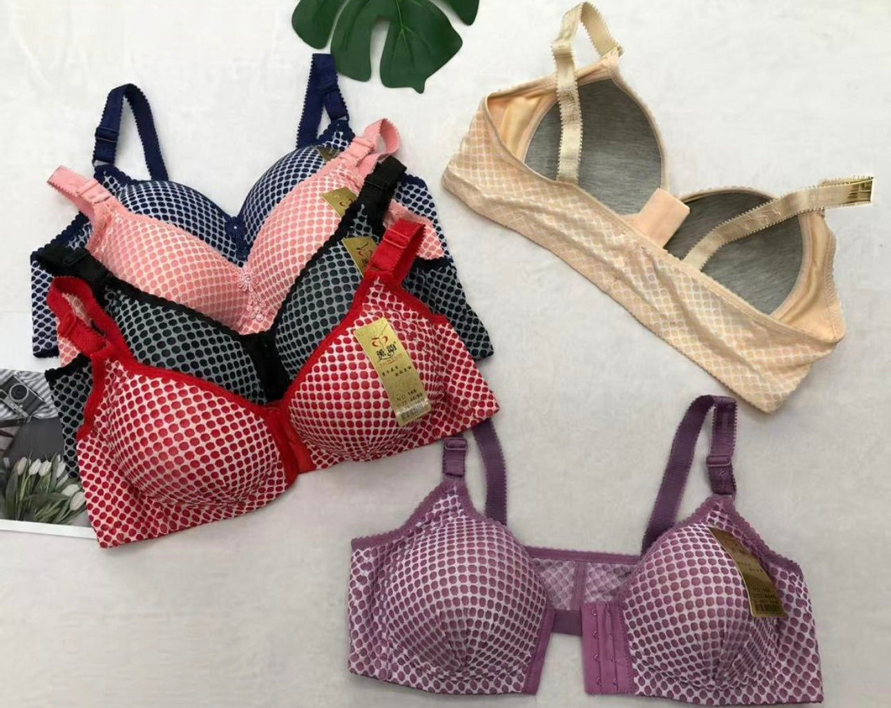 New Arrival padded bra