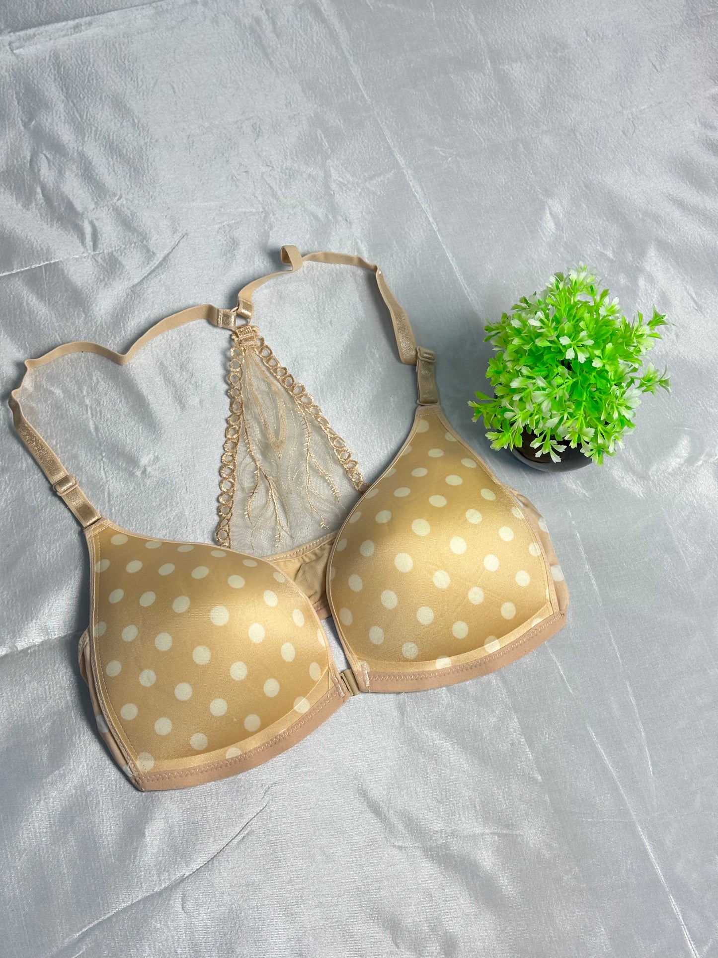 Anti Gravity Seamless Single Padded Non Wire Bra With Back Net Premium Style