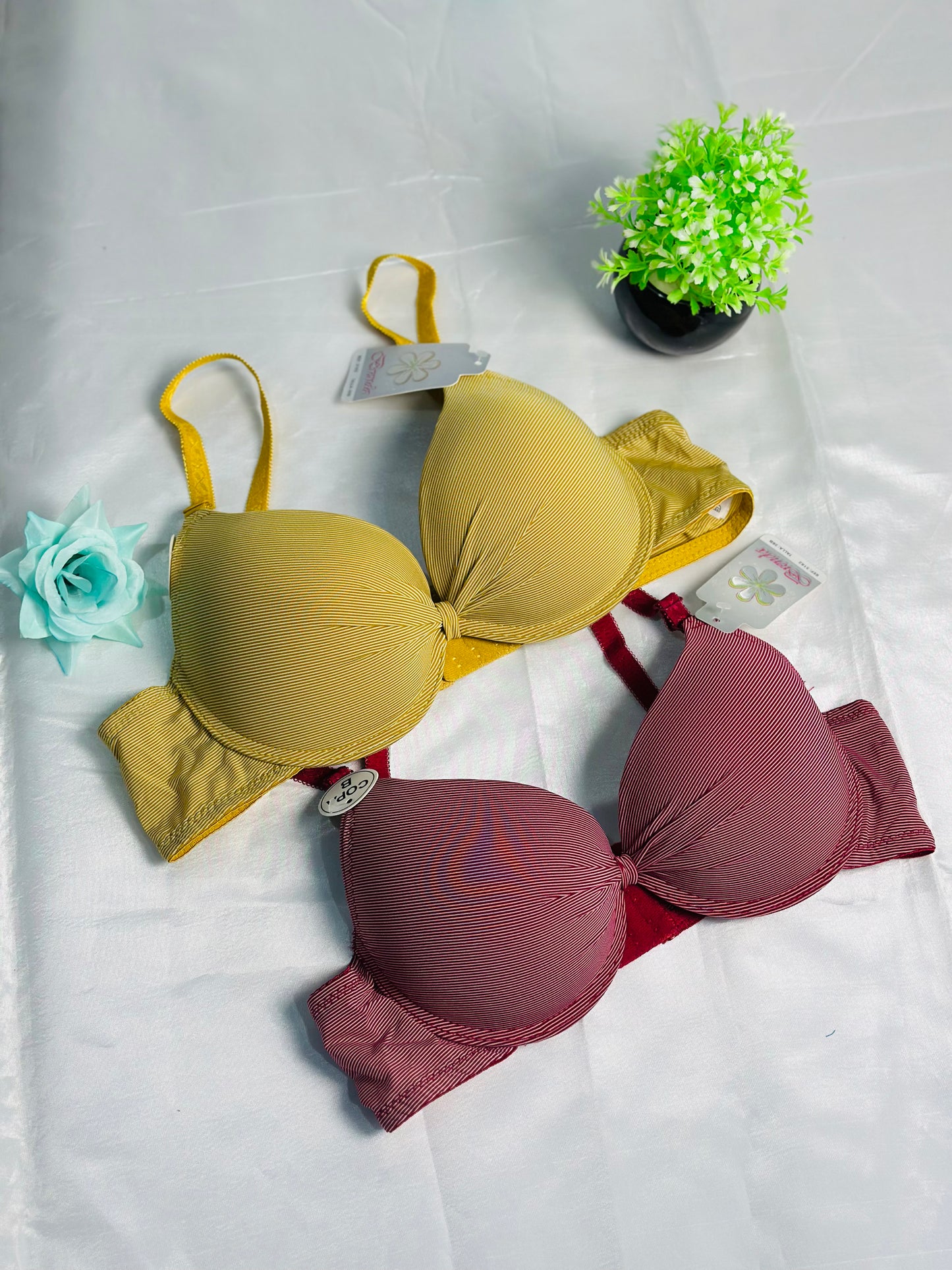 Premium And High Quality Padded Bra With Fancy Look