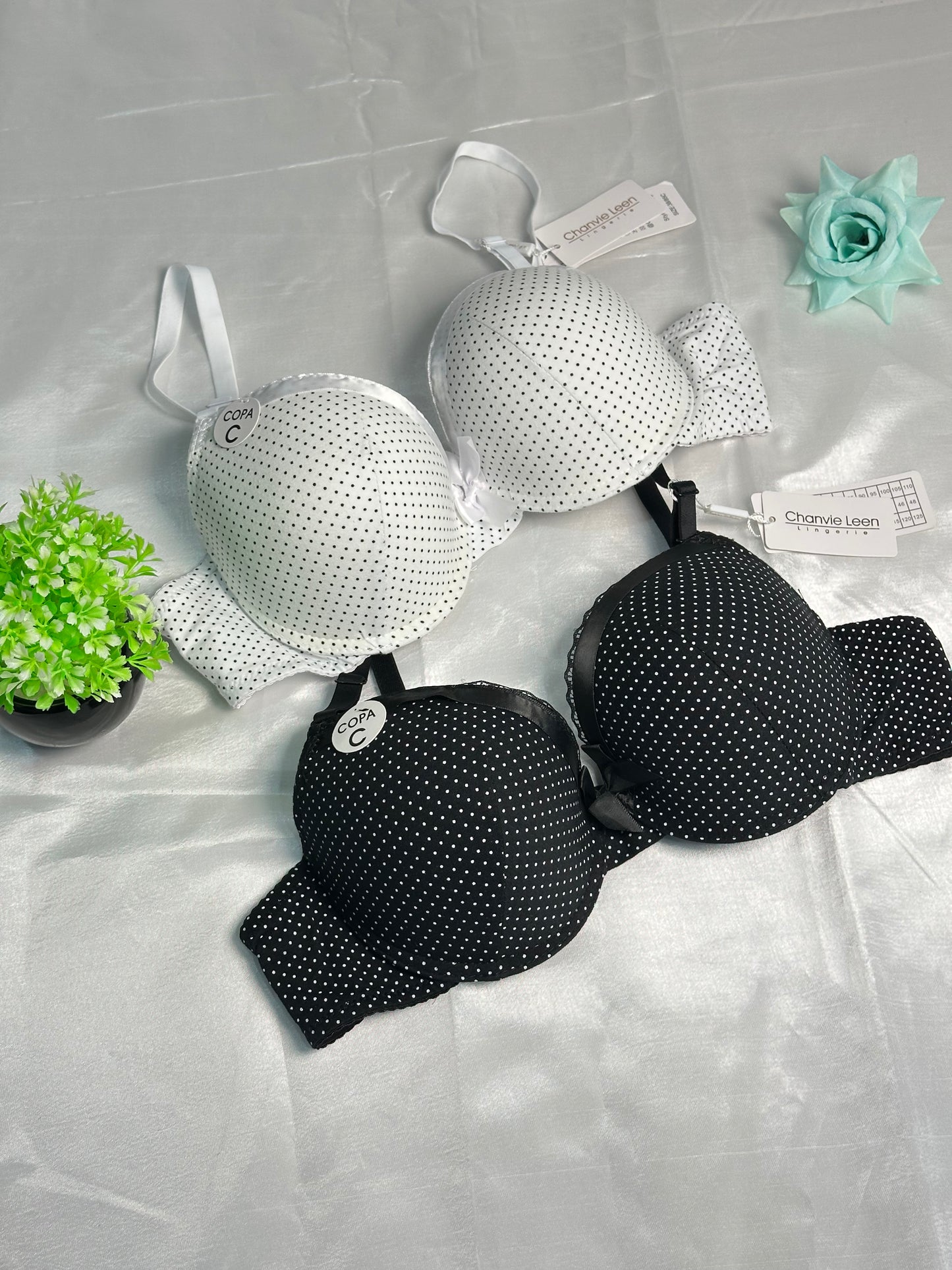 Chanvie Leen Single Padded Bra With High Quality And Premium Stuff