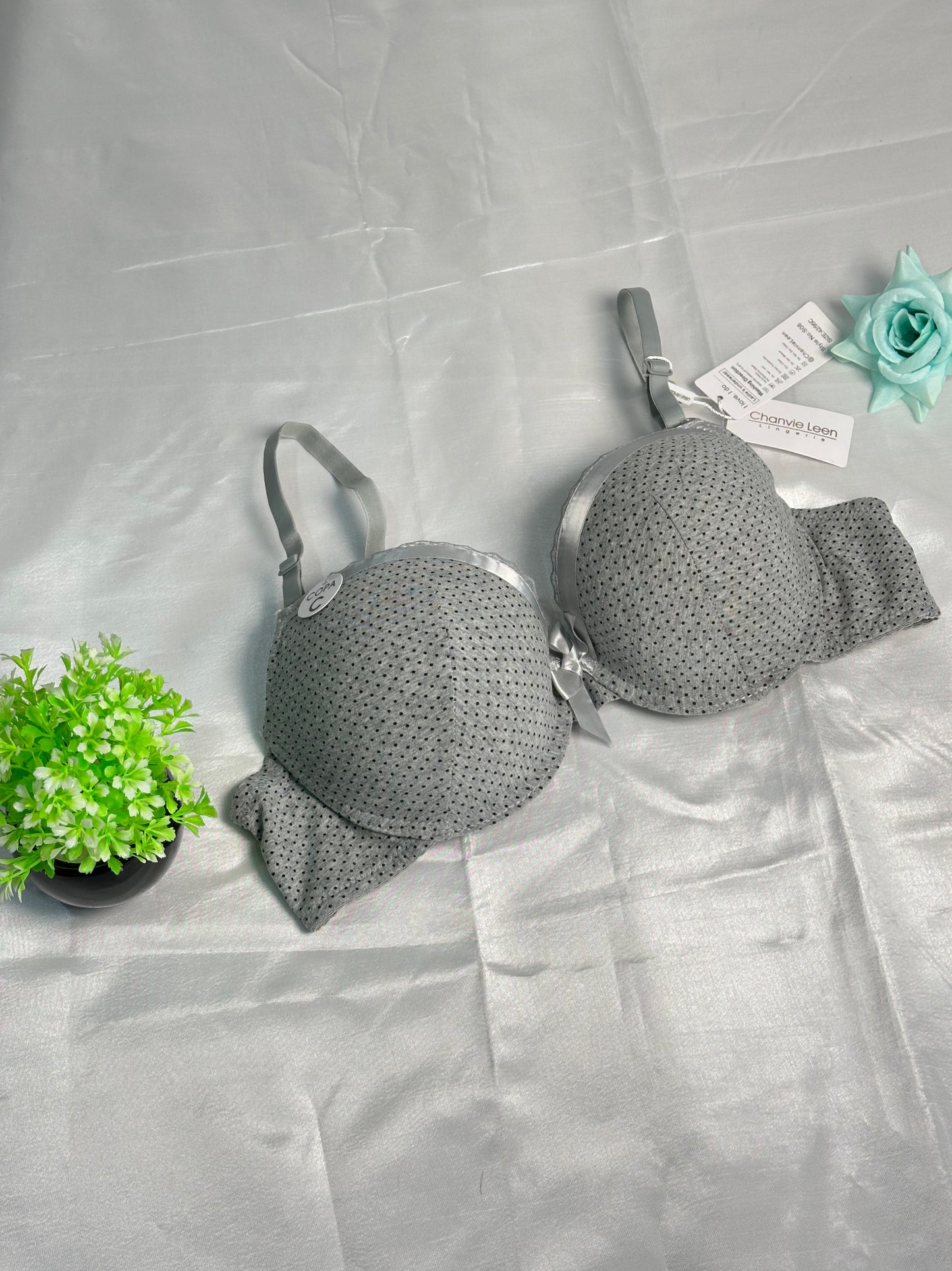 Chanvie Leen Single Padded Bra With High Quality And Premium Stuff